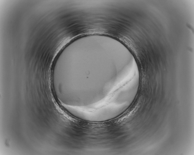 X0000097820941200804111012