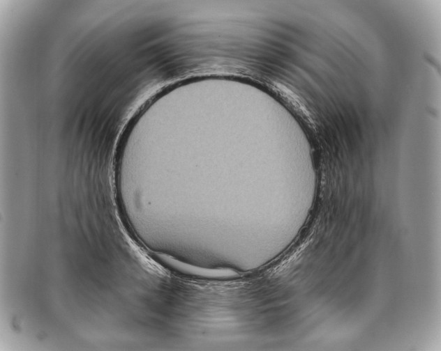 X0000097820942200804111012