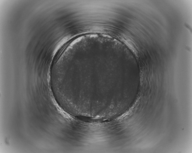 X0000097820944200804111012