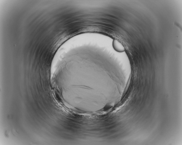 X0000097820945200804111012