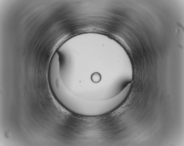 X0000097820946200804111012