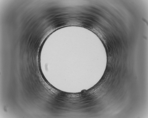 X0000097820947200804111012