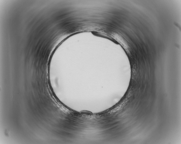 X0000097820948200804111012