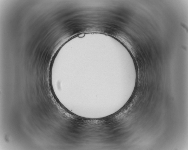 X0000097820949200804111012