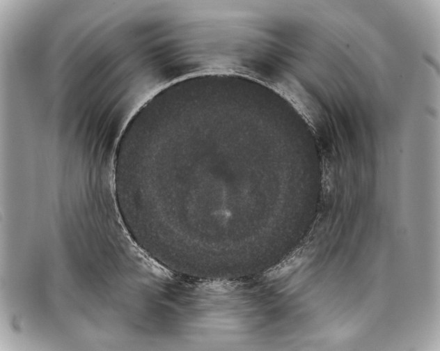 X0000097820950200804111012