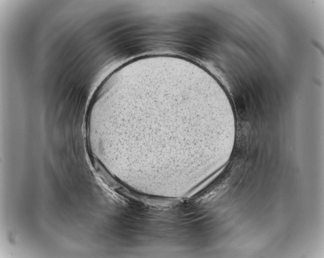 X0000097820951200804111012