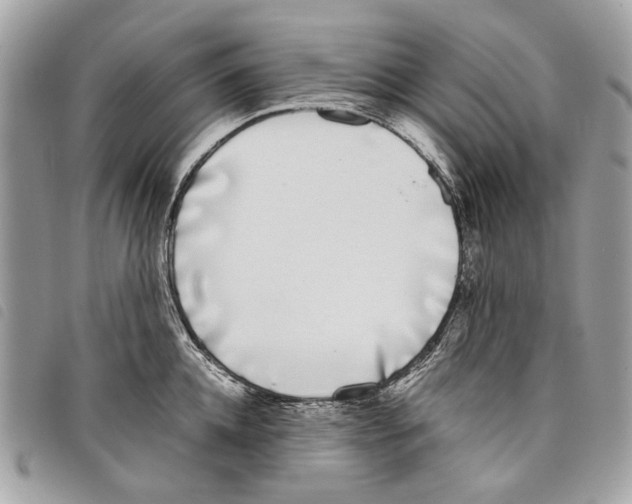 X0000097820952200804111012