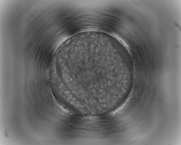 X0000097820953200804111012