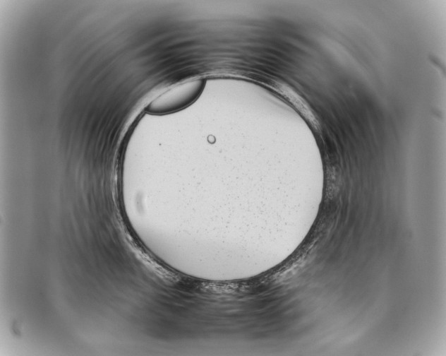 X0000097820955200804111013