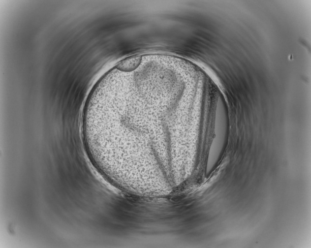 X0000097820957200804111013