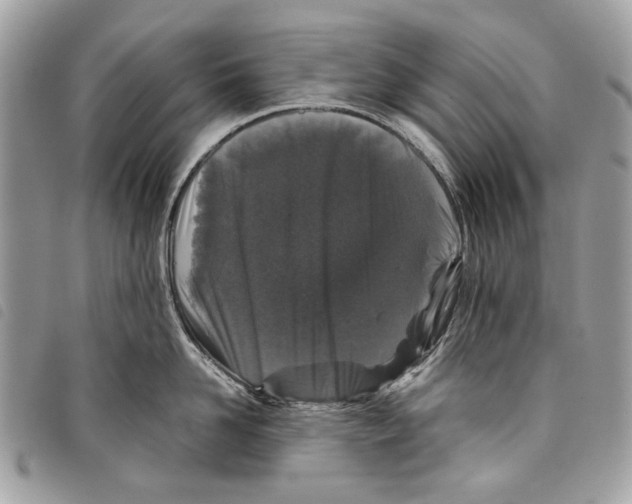 X0000097820958200804111013