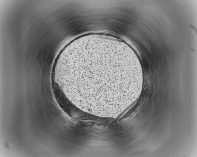 X0000097820959200804111013