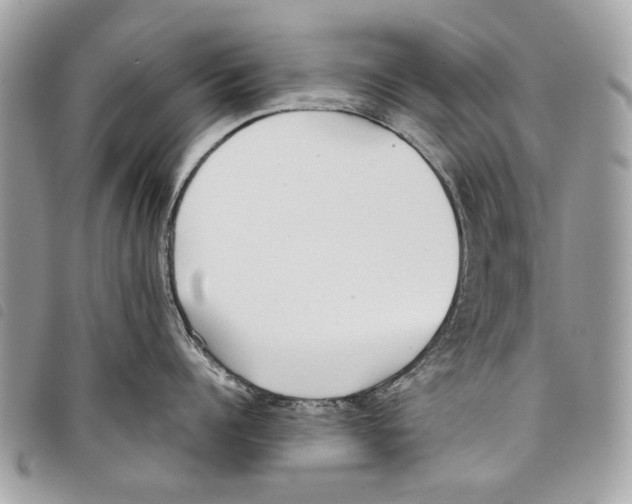 X0000097820960200804111013