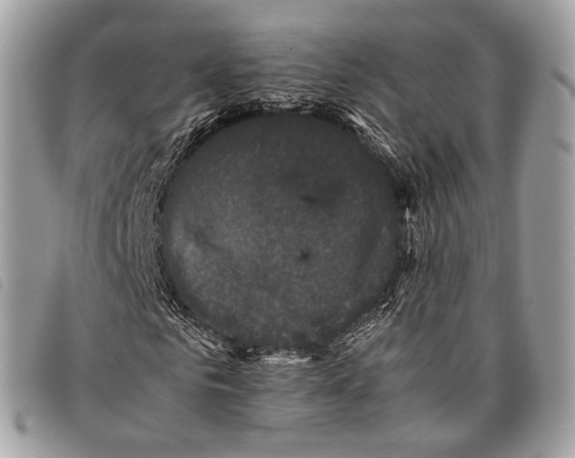 X0000097820961200804111012