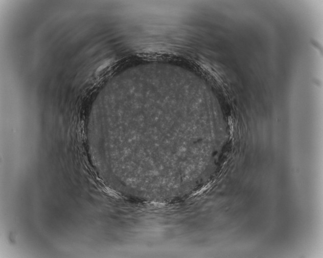 X0000097820965200804111012