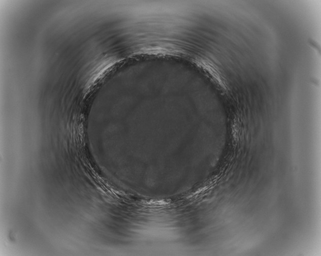 X0000097820968200804111012