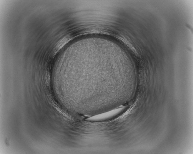 X0000097820969200804111012