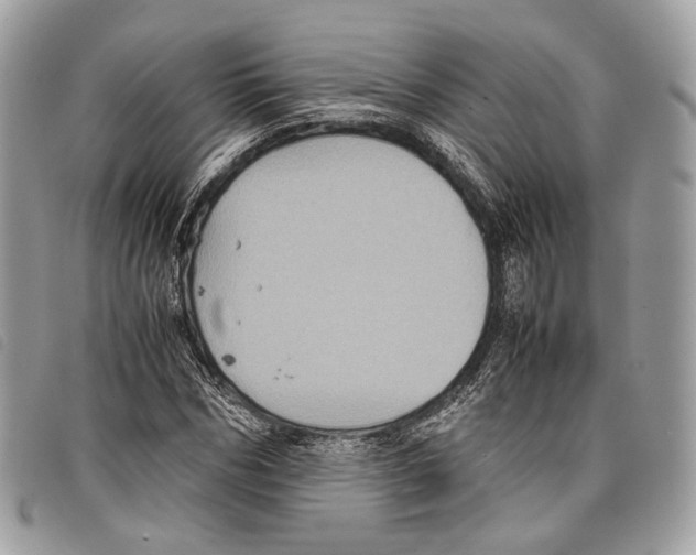 X0000097820970200804111012