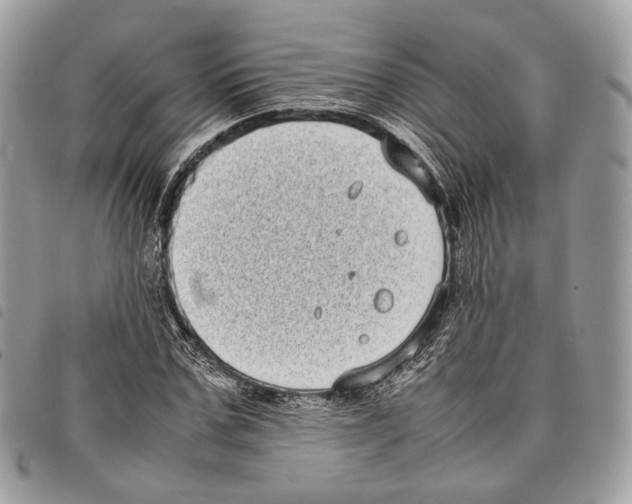 X0000097820971200804111012