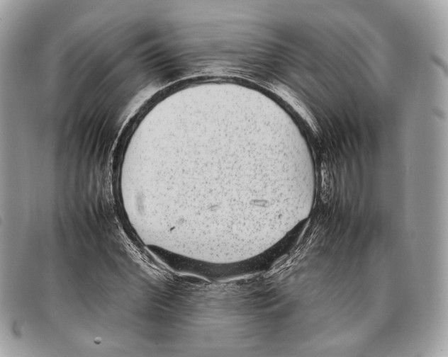 X0000097820972200804111012