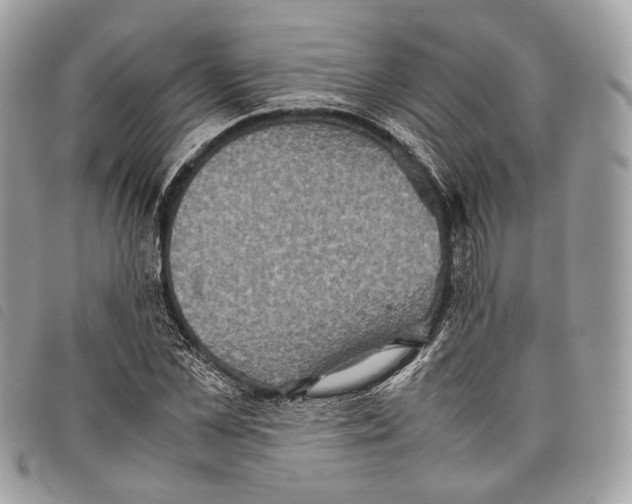 X0000097820973200804111012