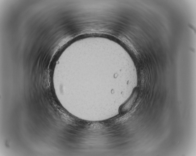 X0000097820974200804111012