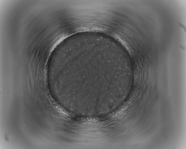 X0000097820975200804111012