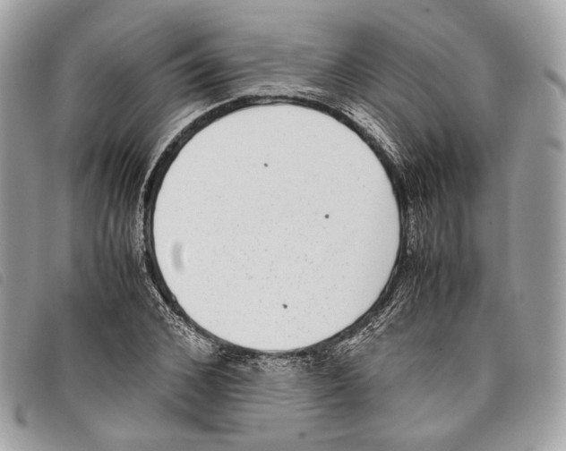 X0000097820976200804111012