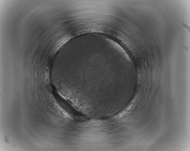 X0000097820977200804111012