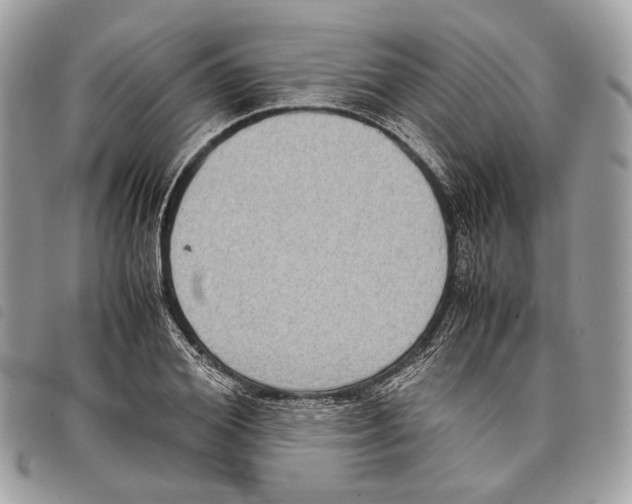 X0000097820980200804111011