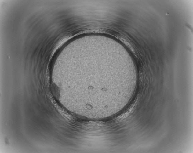 X0000097820981200804111011