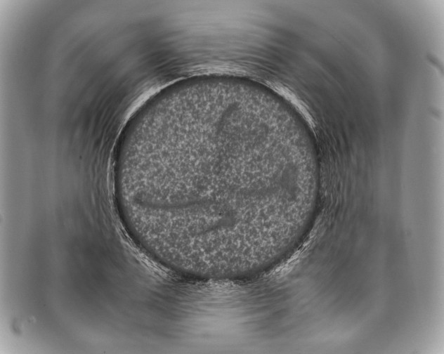 X0000097820983200804111011