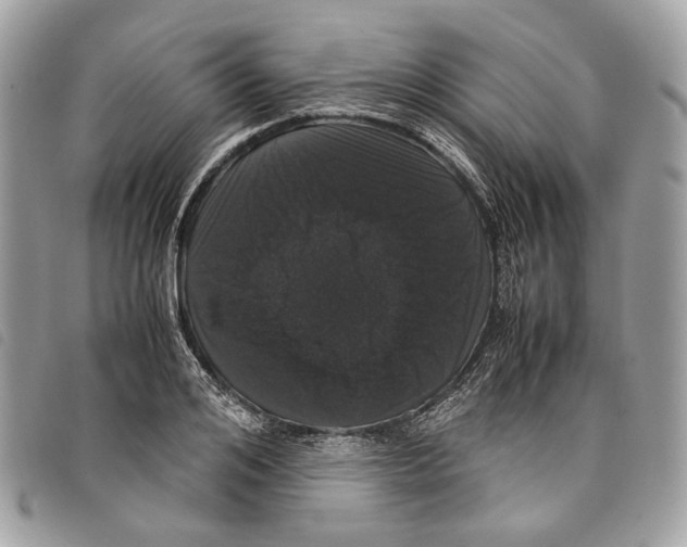 X0000097820984200804111011