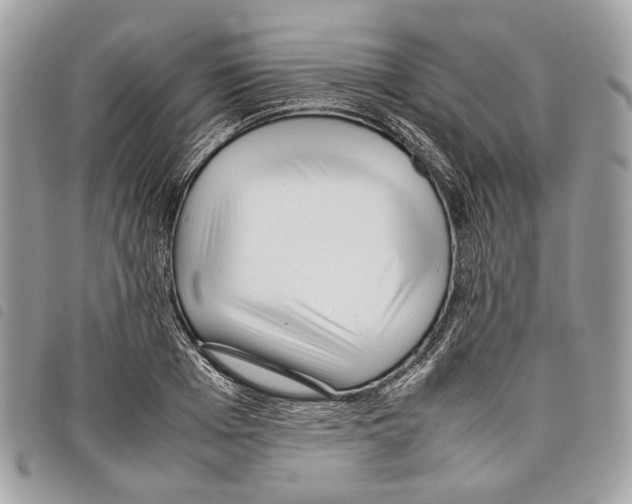 X0000097820985200804111011