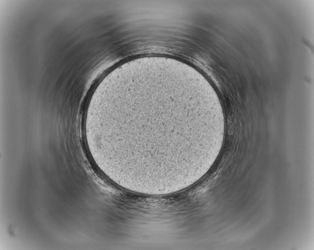 X0000097820987200804111011