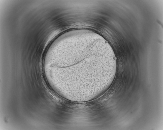 X0000097820990200804111011