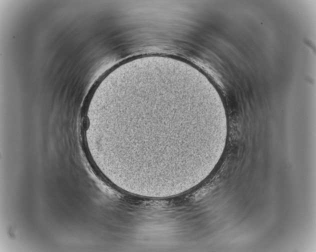 X0000097820991200804111011