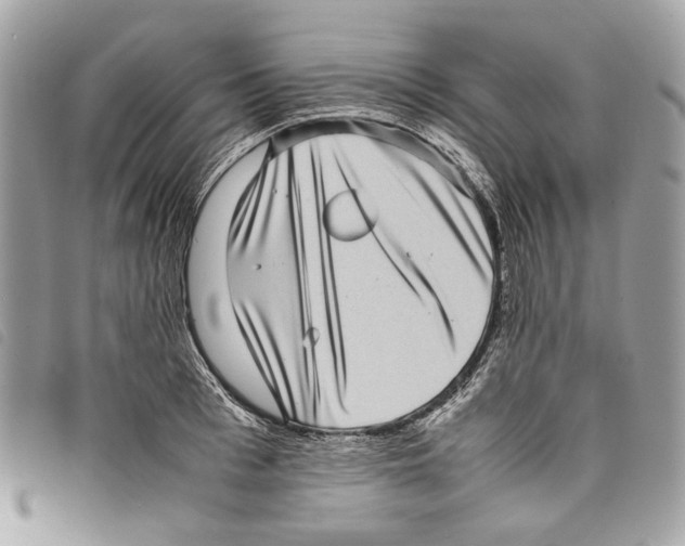 X0000097820993200804111011