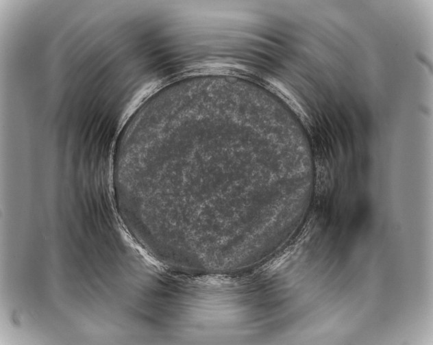 X0000097820994200804111011