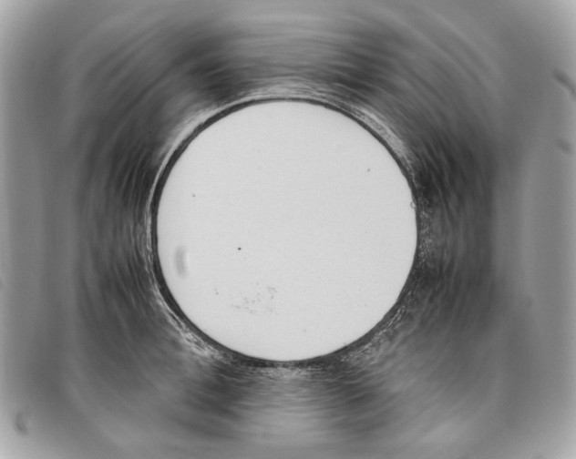 X0000097820996200804111011