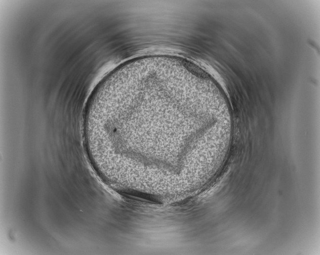 X0000097820997200804111011