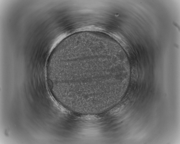 X0000097820998200804111011