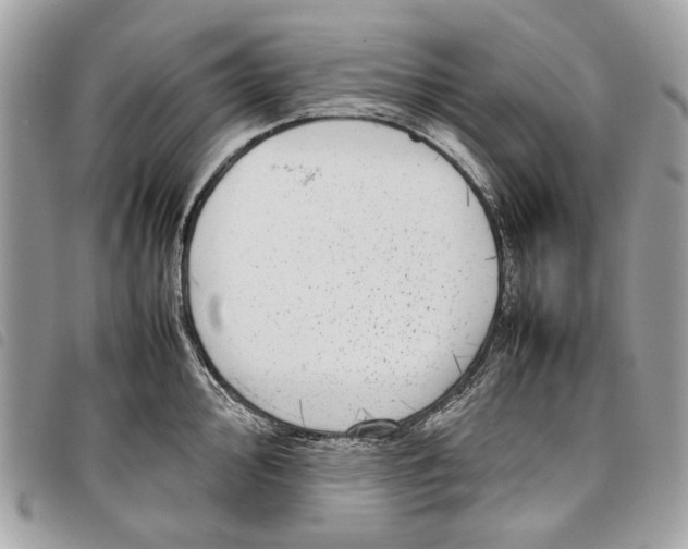 X0000097821000200804111011
