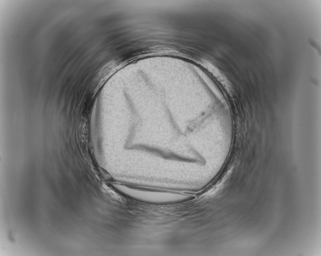 X0000097821001200804111011