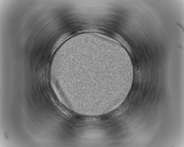 X0000097821002200804111011