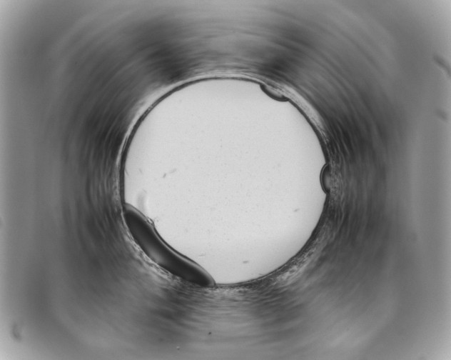 X0000097821004200804111011