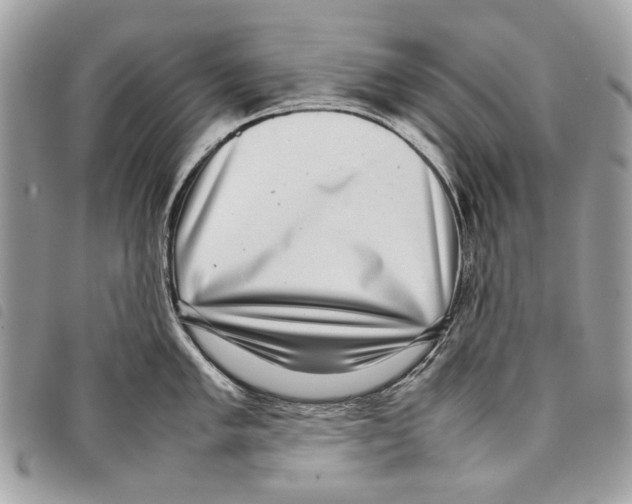 X0000097821005200804111011