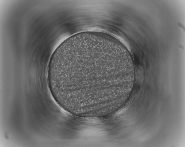 X0000097821007200804111011