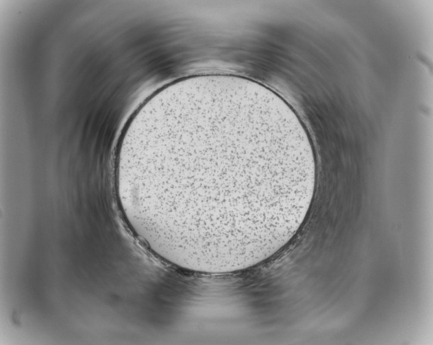 X0000097821008200804111011