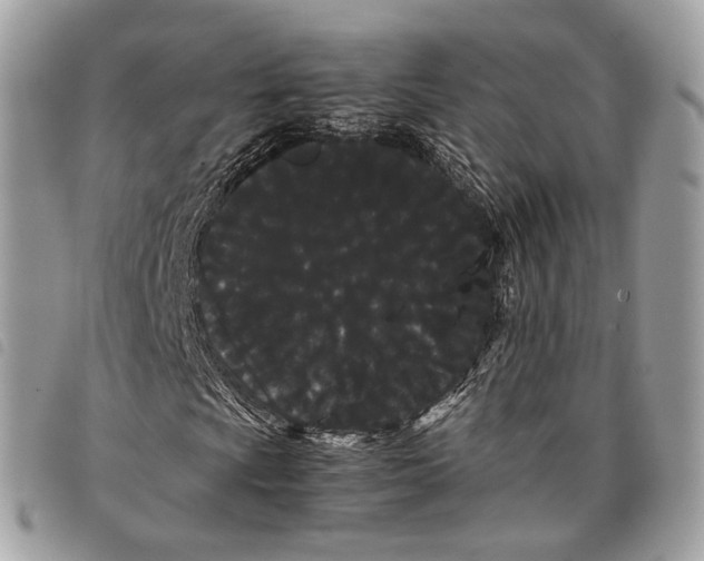 X0000097821009200804111010